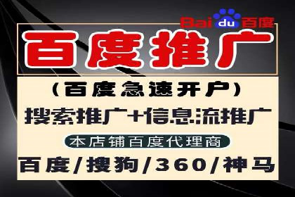 SEM推广策略如何制定——以某电商平台的成功案例为例